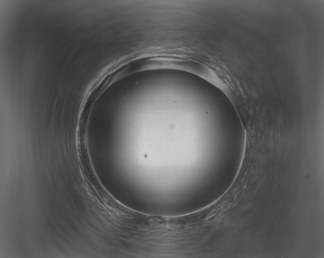 X0000083990340200702232117