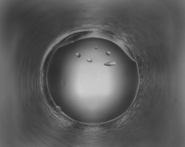 X0000083990342200702232117