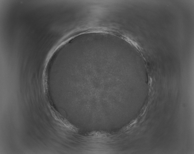 X0000083990343200702232117