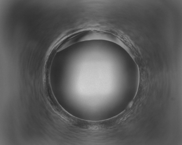 X0000083990344200702232117