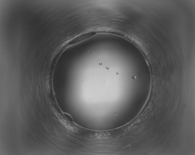 X0000083990345200702232117