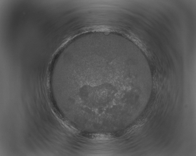 X0000083990347200702232117