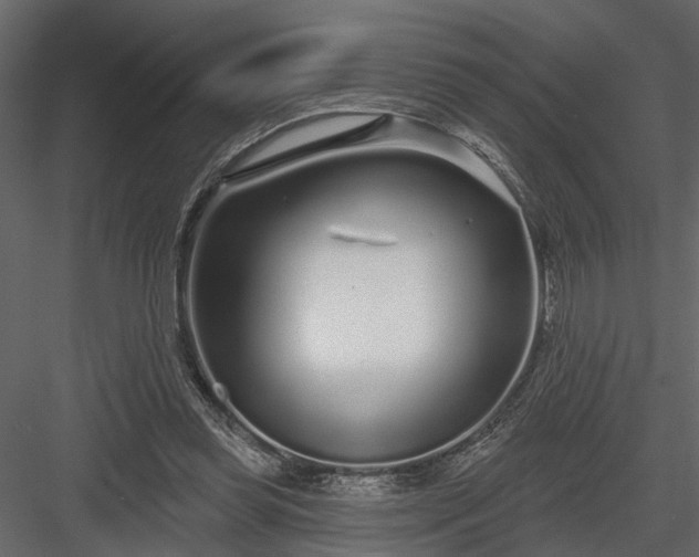 X0000083990349200702232117