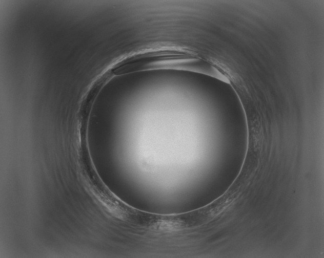 X0000083990350200702232117