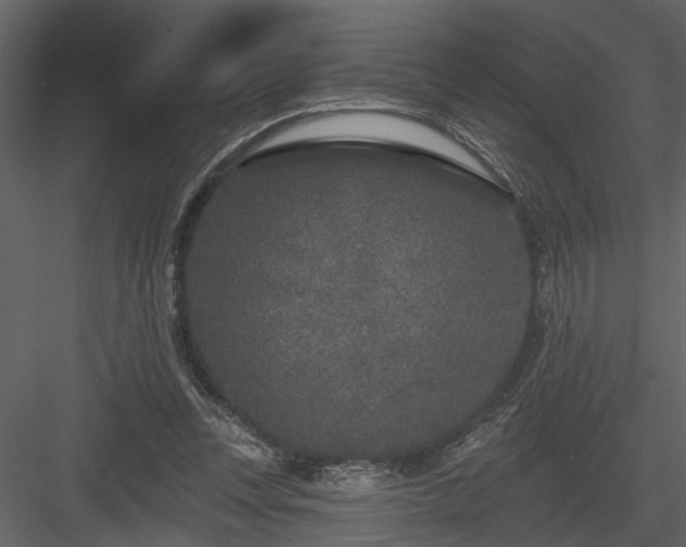 X0000083990351200702232117