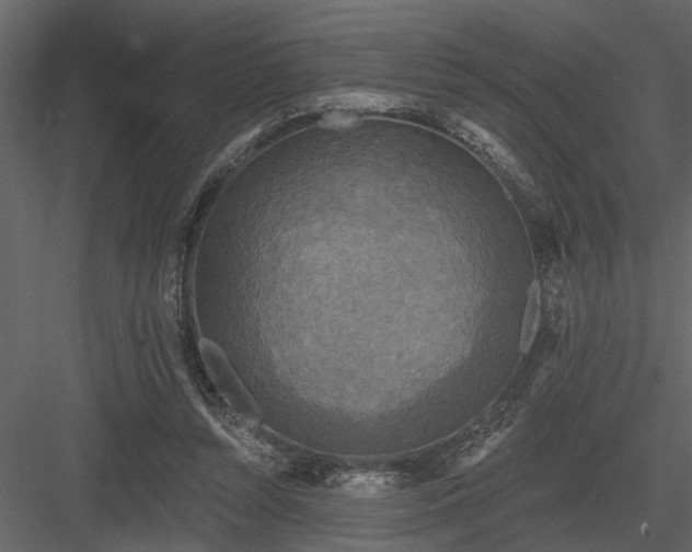 X0000083990352200702232117