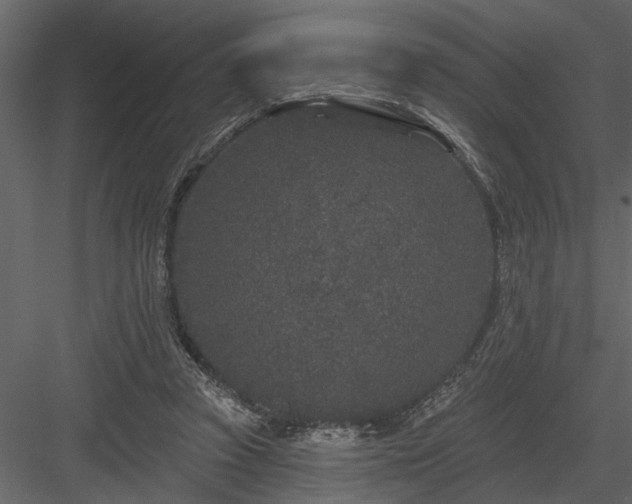 X0000083990353200702232117