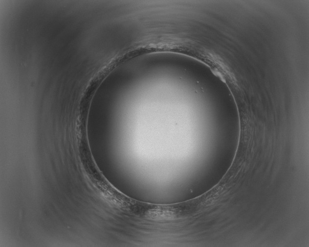 X0000083990354200702232117