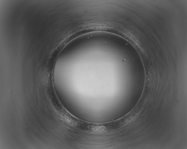 X0000083990355200702232117