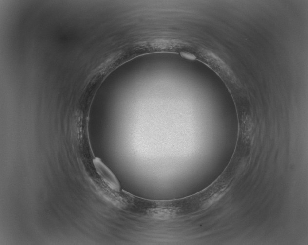 X0000083990356200702232117