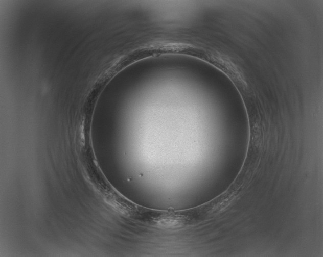 X0000083990358200702232117