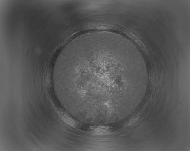 X0000083990359200702232117