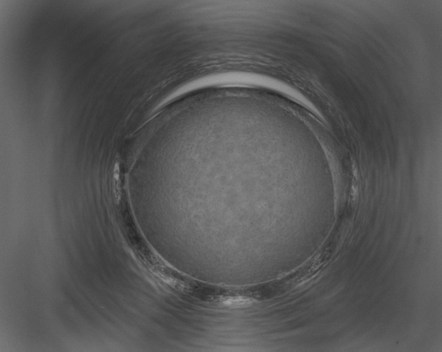 X0000083990360200702232117