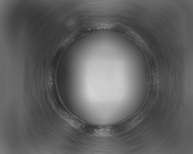 X0000083990362200702232117