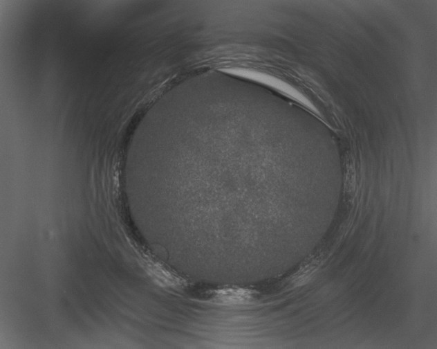 X0000083990363200702232117