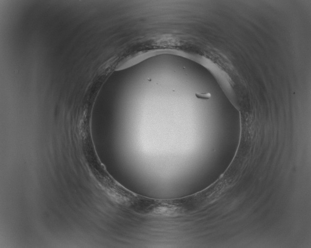 X0000083990364200702232117