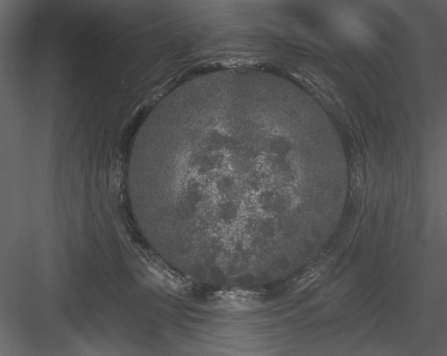 X0000083990367200702232117