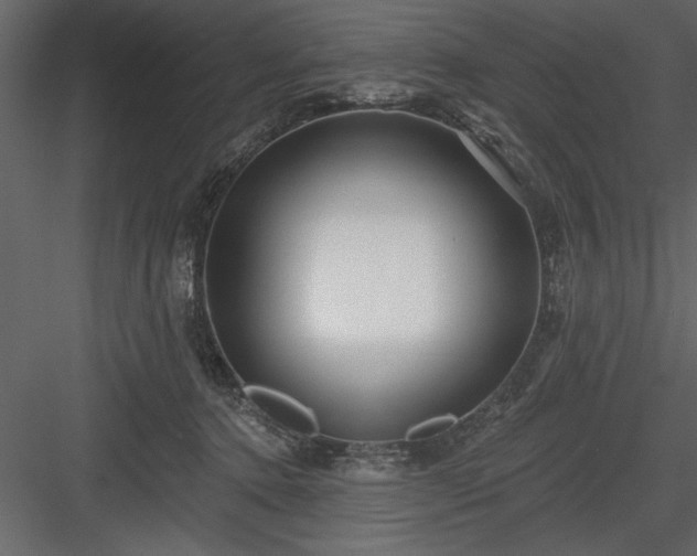 X0000083990368200702232117