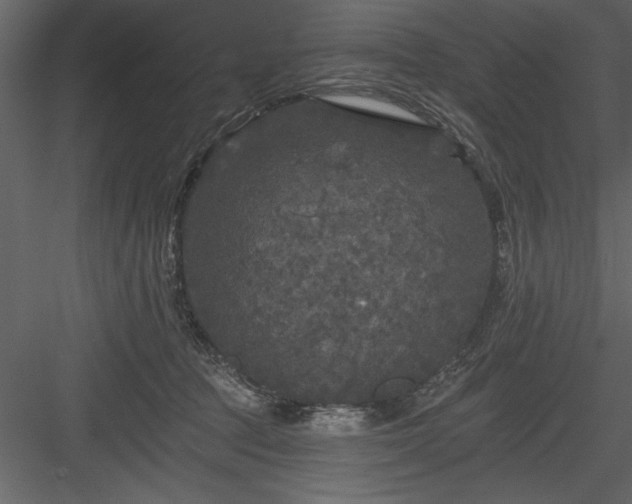 X0000083990369200702232117