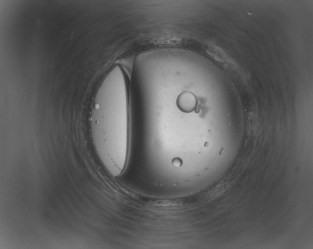 X0000083990370200702232117