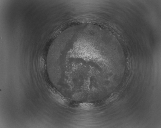 X0000083990371200702232117