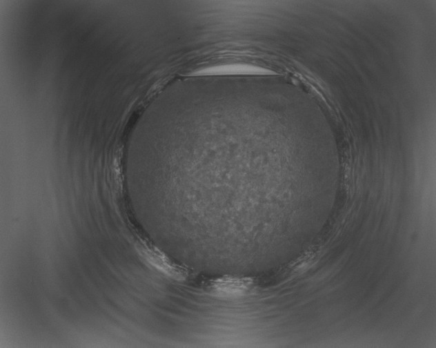 X0000083990373200702232117