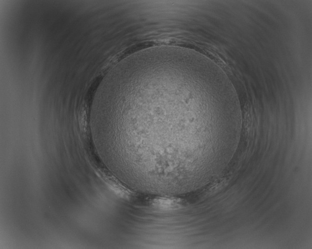 X0000083990375200702232117