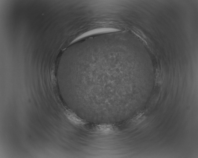 X0000083990377200702232117