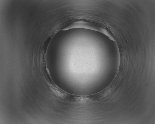 X0000083990379200702232117