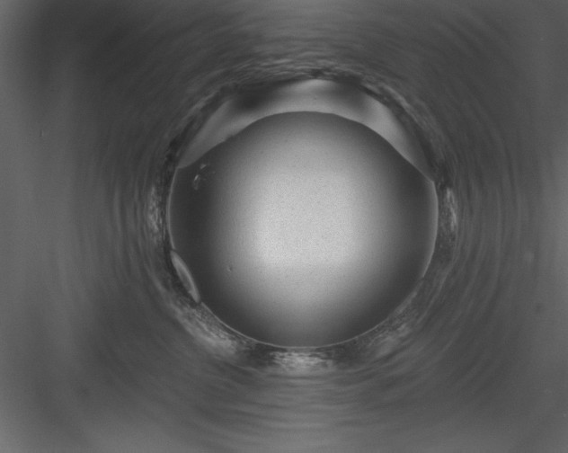 X0000083990380200702232117