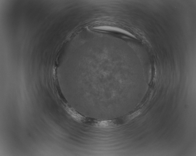 X0000083990382200702232117