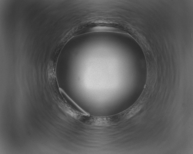 X0000083990384200702232117