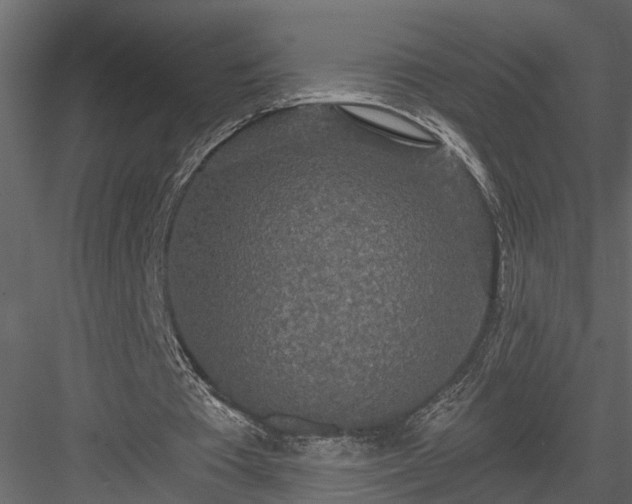 X0000083990385200702232117