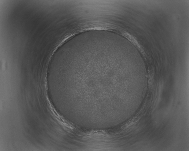 X0000083990386200702232117