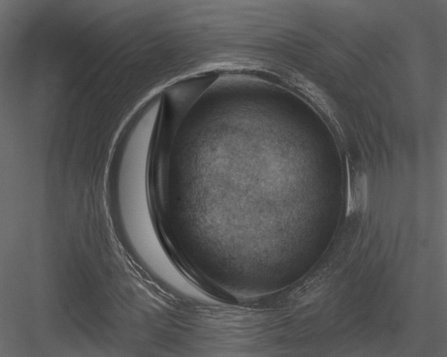 X0000083990387200702232117