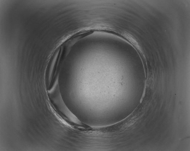 X0000083990389200702232117