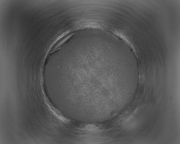 X0000083990390200702232117