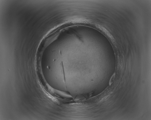 X0000083990391200702232117