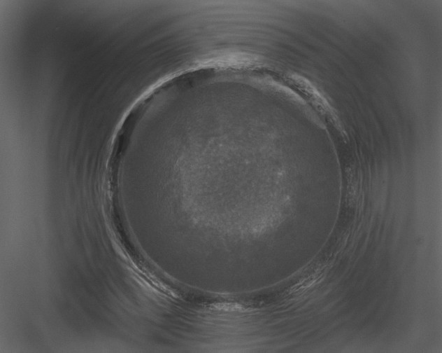 X0000083990392200702232117