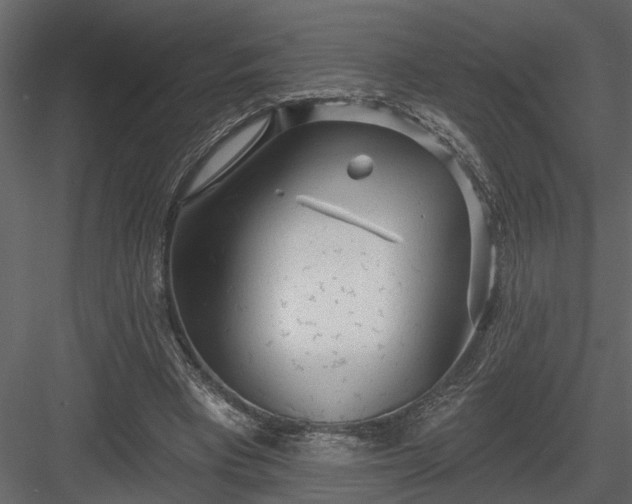 X0000083990393200702232117