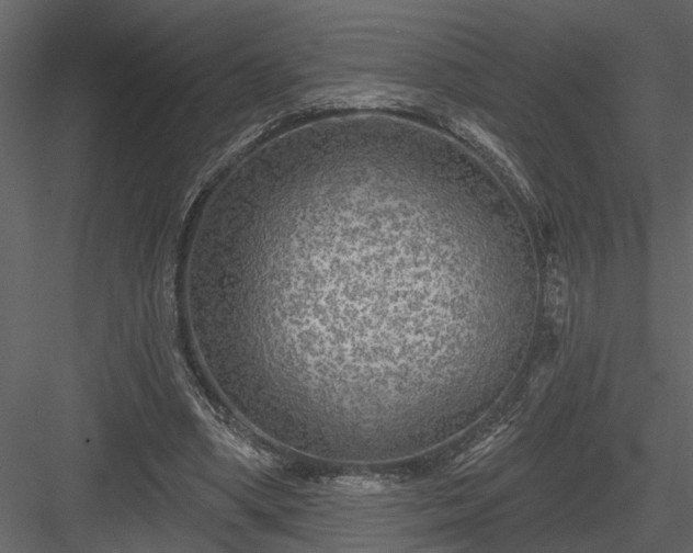 X0000083990394200702232117