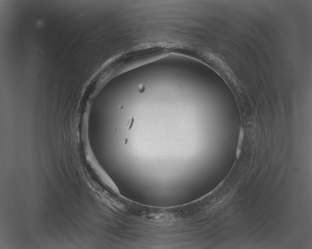 X0000083990395200702232116