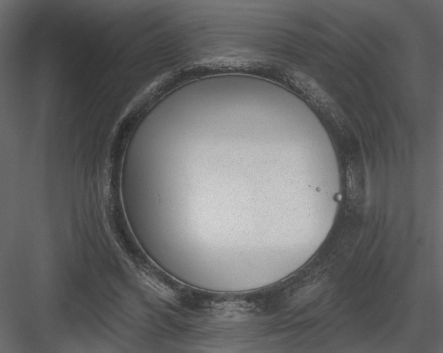 X0000083990396200702232116