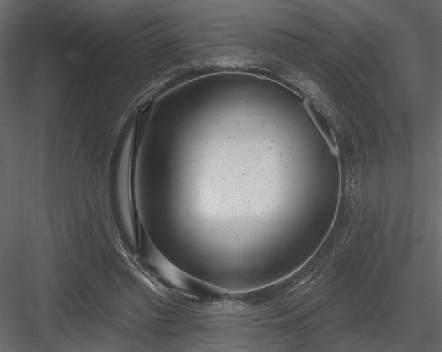 X0000083990397200702232116