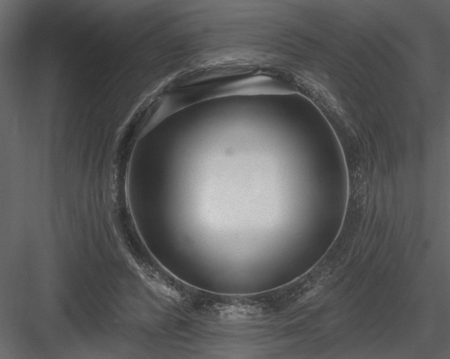 X0000083990400200702232116