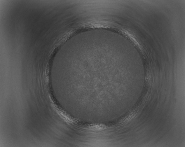 X0000083990402200702232116