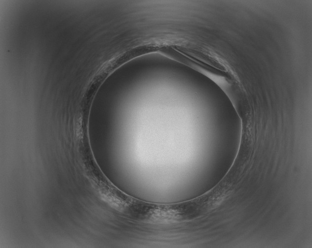 X0000083990403200702232116