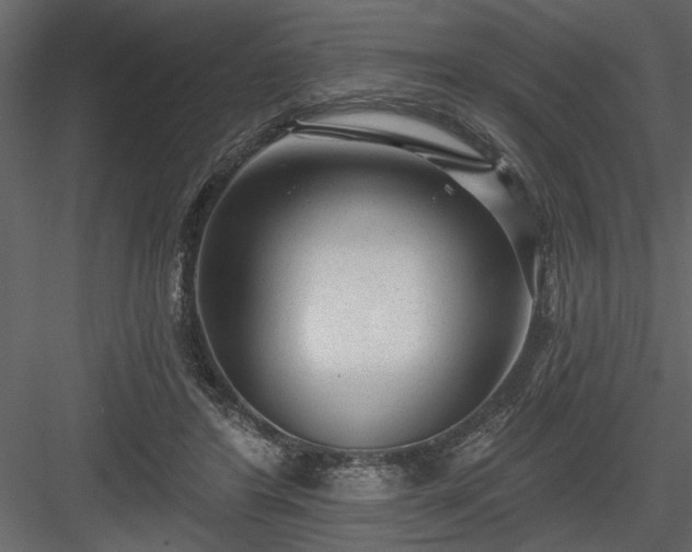 X0000083990404200702232116