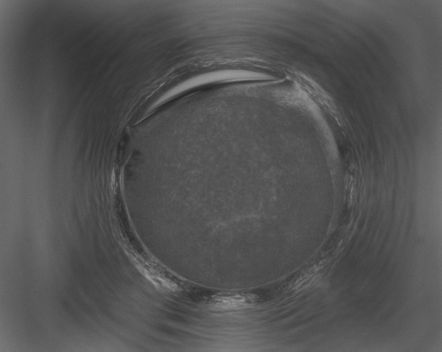 X0000083990405200702232116