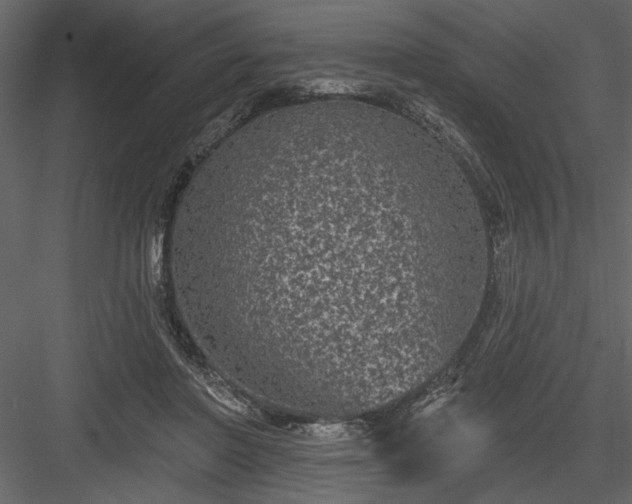 X0000083990406200702232116